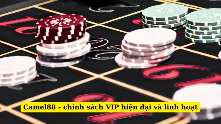 Camel88 - chính sách VIP hiện đại và linh hoạt