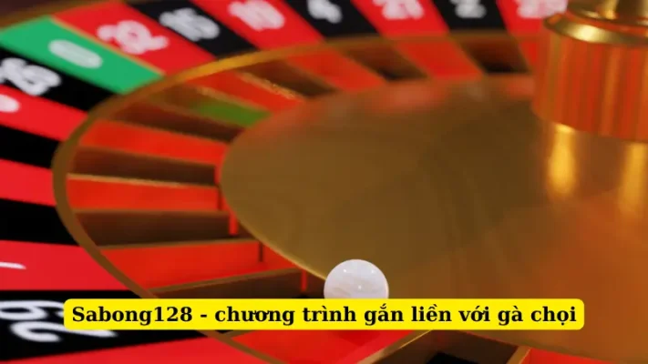 Sabong128 - chương trình gắn liền với gà chọi